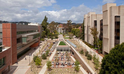 024_University of California-Los Angeles