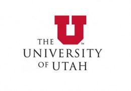 University of Utah, Songdo Global University