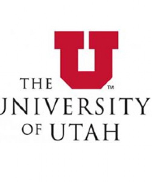 University of Utah, Songdo Global University